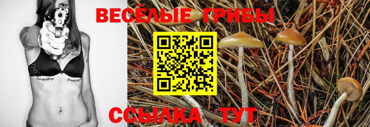 Ачинск  Галлюциногенные грибы Magic Shrooms  Вход с VPN 