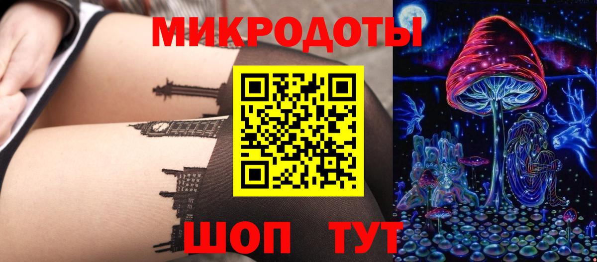 Псилоцибиновые грибы Cubensis Ачинск